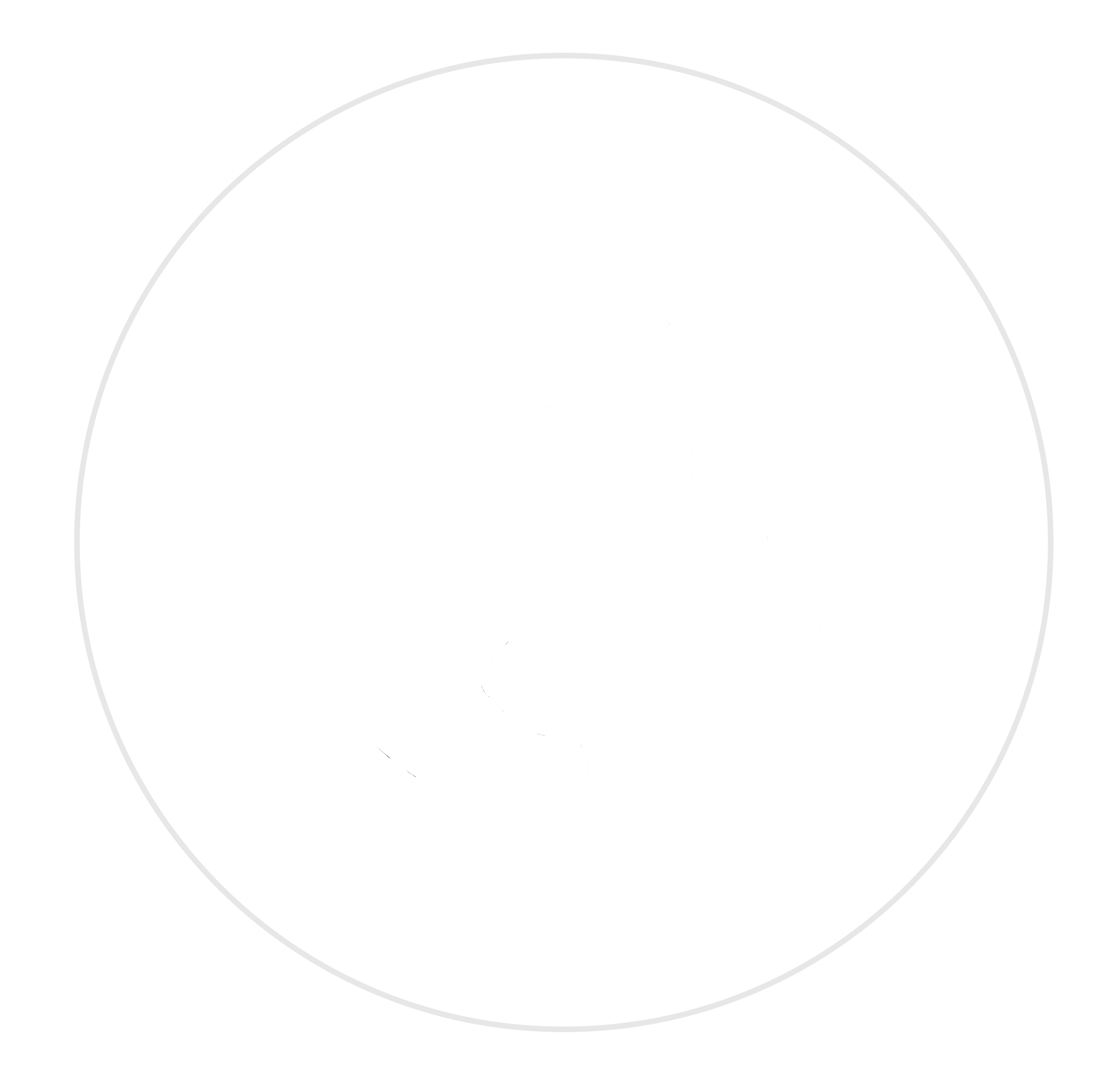 Het Nationale Bull Terrier Magazine
